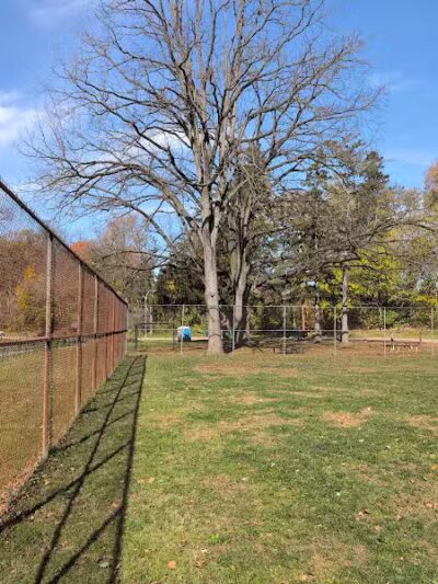 Curtiss Park Dog Park - Saline,