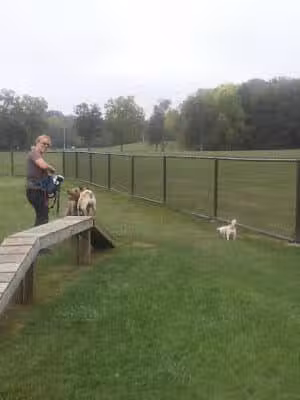 Mill Pond Park - Saline, MI