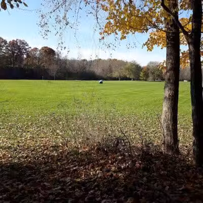 Mill Pond Park - Saline, MI