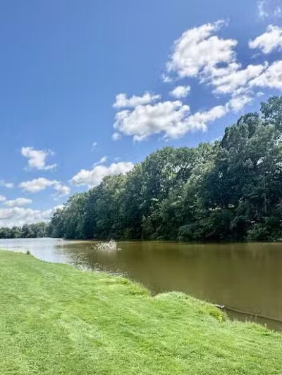 Mill Pond Park - Saline, MI