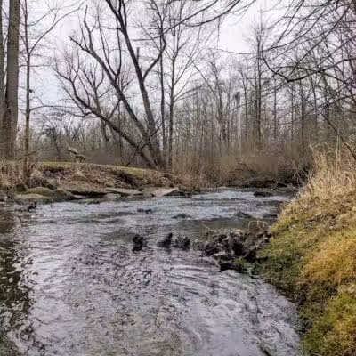 Mill Pond Park - Saline, MI