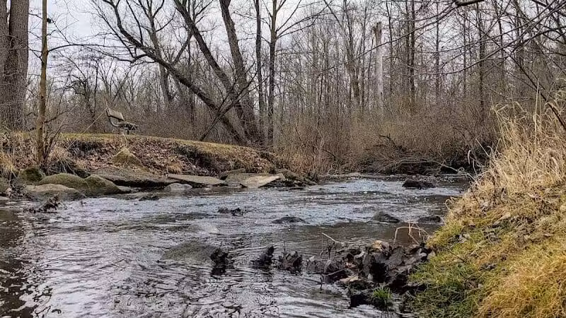 Mill Pond Park - Saline, MI