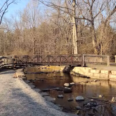 Mill Pond Park - Saline, MI