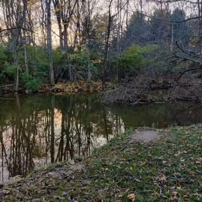 Mill Pond Park - Saline, MI