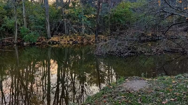 Mill Pond Park - Saline, MI