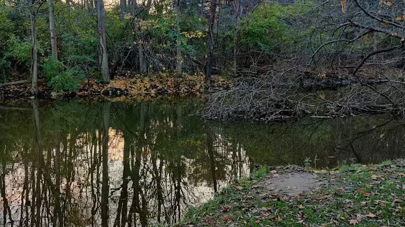 Mill Pond Park - Saline, MI