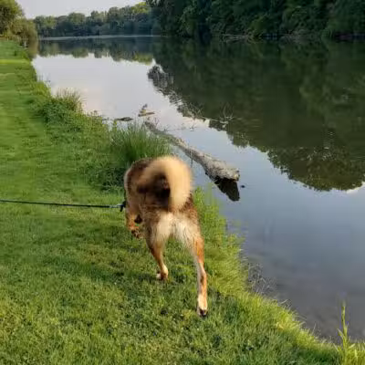 Mill Pond Park - Saline, MI