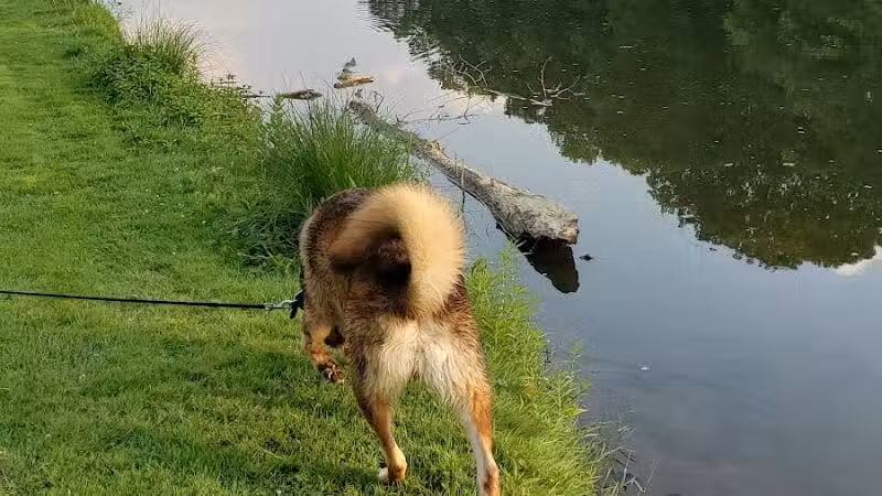 Mill Pond Park - Saline, MI