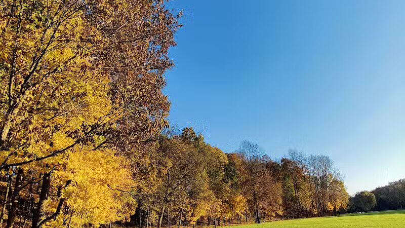 Mill Pond Park - Saline, MI