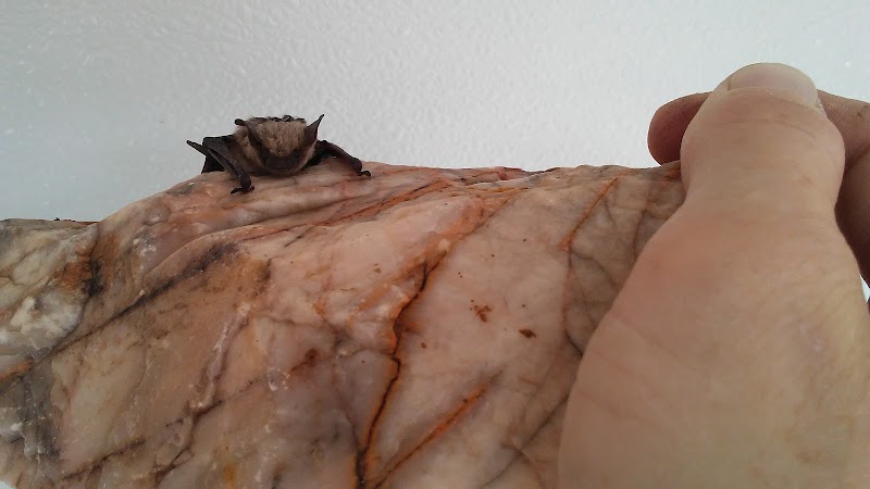 Desert Gem RV Park - Salome, AZ