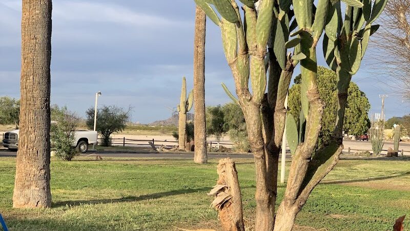 Sheffler's Motel - Salome, AZ