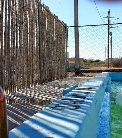 Sheffler's Motel - Salome, AZ