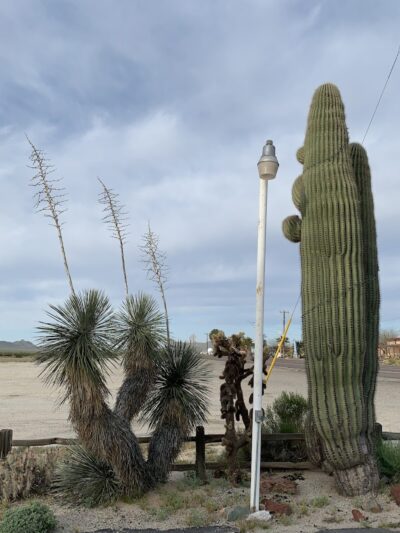 Sheffler's Motel - Salome, AZ