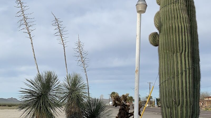 Sheffler's Motel - Salome, AZ