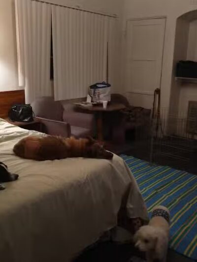 Sheffler's Motel - Salome, AZ