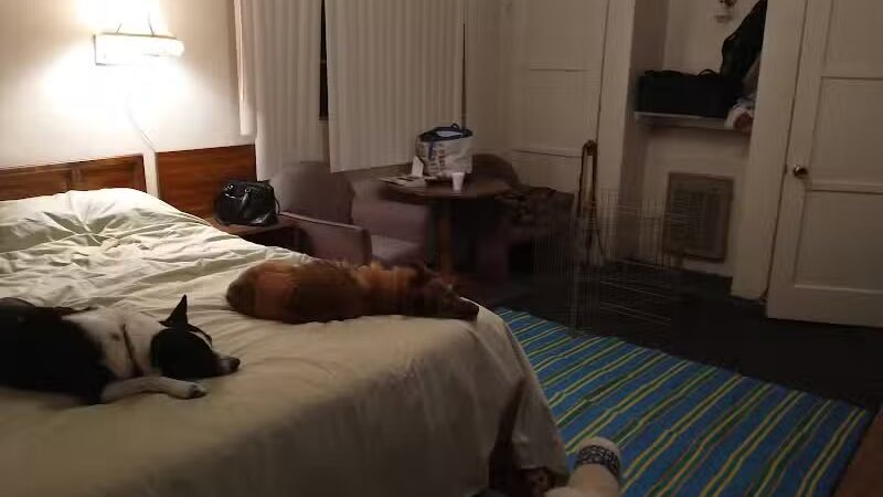 Sheffler's Motel - Salome, AZ