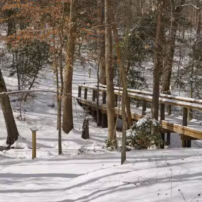 The Heritage Trail - Saluda, VA