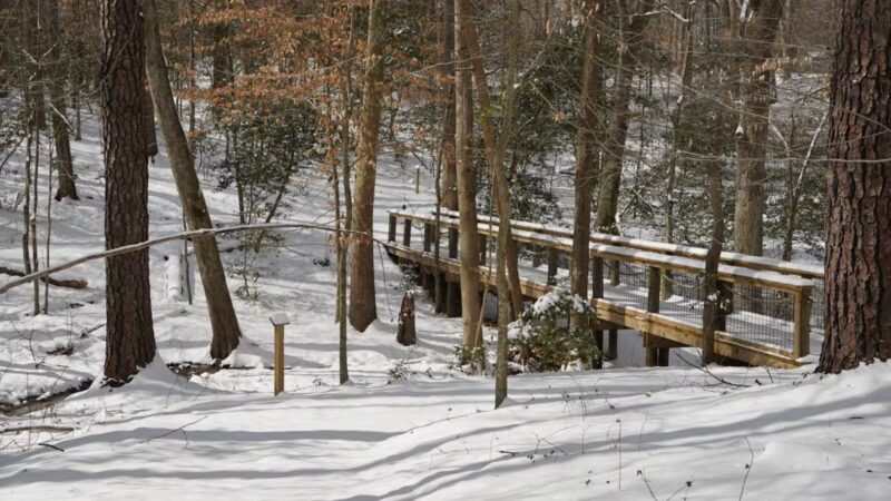 The Heritage Trail - Saluda, VA
