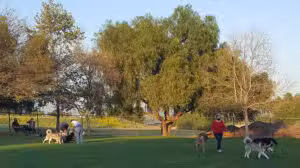 San Dimas Dog Park - San Dimas, CA