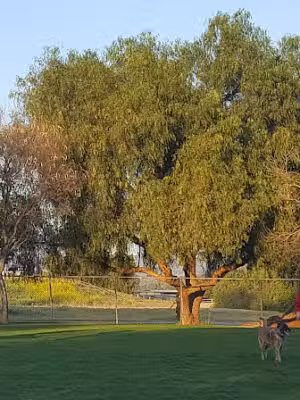 San Dimas Dog Park - San Dimas, CA