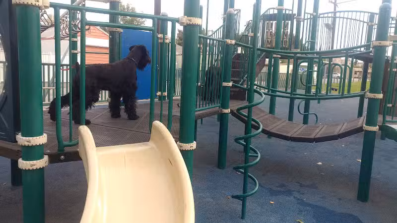 Layne Park - San Fernando, CA