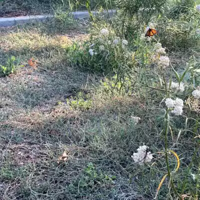 Rudy Ortega Park - San Fernando, CA