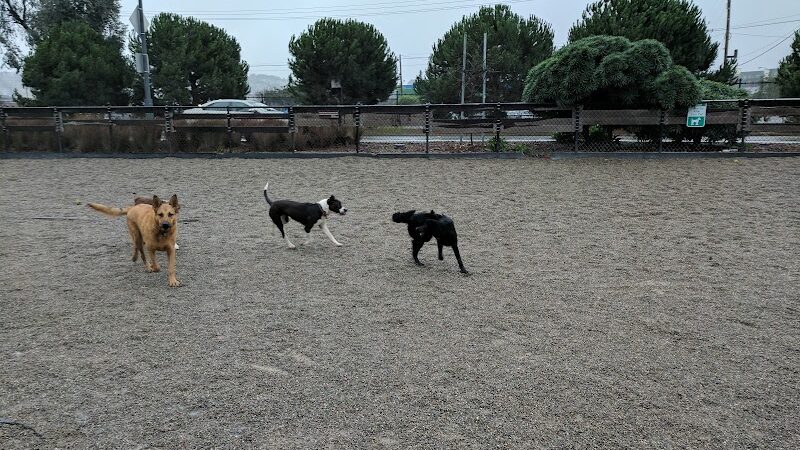 Berry Street Dog Park - San Francisco, CA