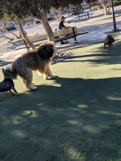 Berry Street Dog Park - San Francisco, CA