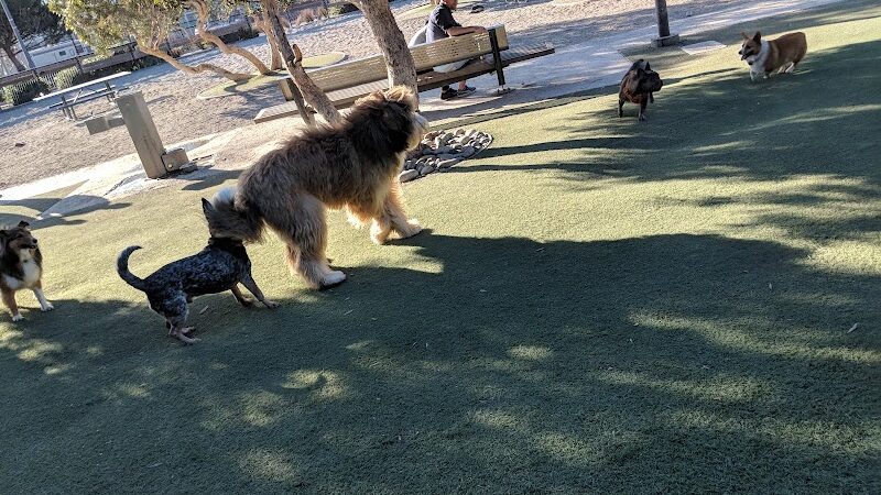 Berry Street Dog Park - San Francisco, CA