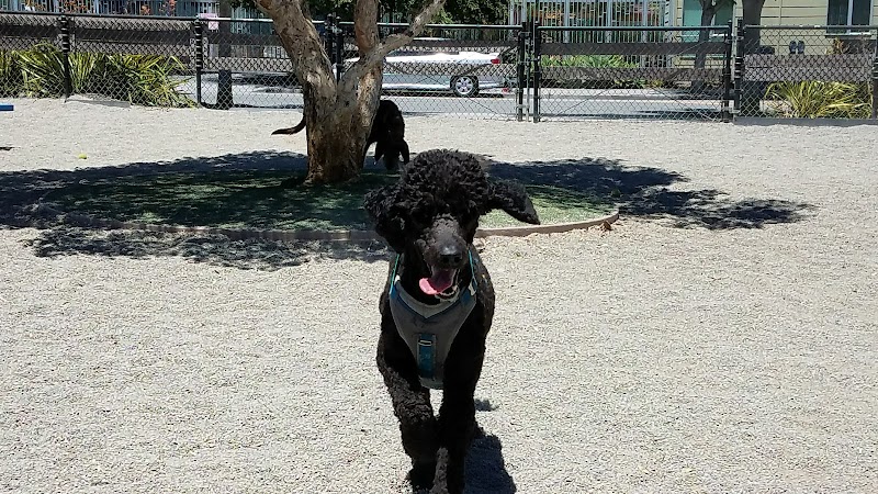 Berry Street Dog Park - San Francisco, CA