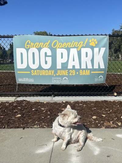 Piedmont Road Dog Park - San Jose, CA