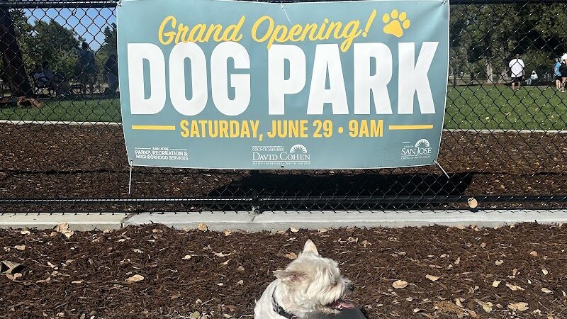 Piedmont Road Dog Park - San Jose, CA