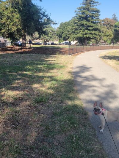 Piedmont Road Dog Park - San Jose, CA