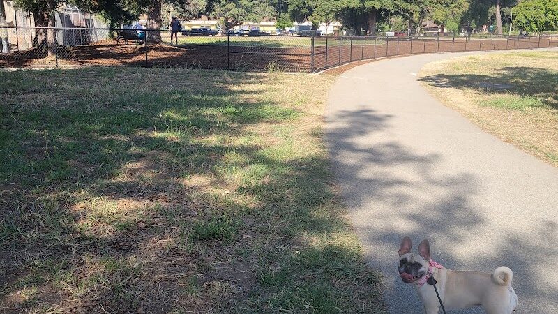 Piedmont Road Dog Park - San Jose, CA