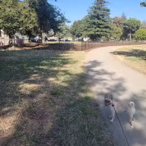 Piedmont Road Dog Park - San Jose, CA