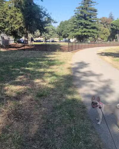 Piedmont Road Dog Park - San Jose, CA