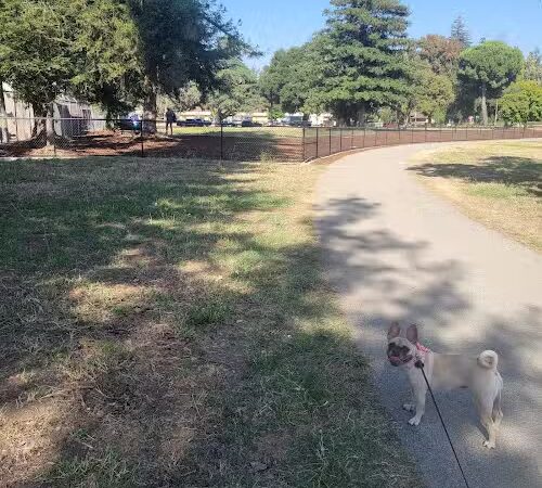 Piedmont Road Dog Park - San Jose, CA