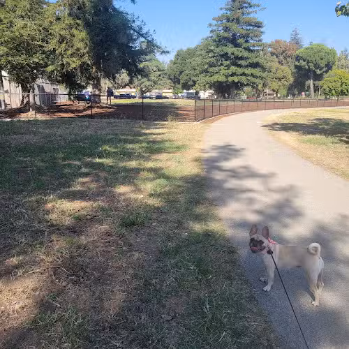 Piedmont Road Dog Park - San Jose, CA