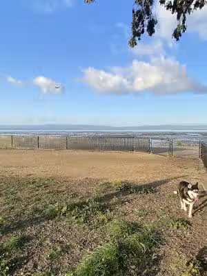 Marina Dog Park - San Leandro, CA