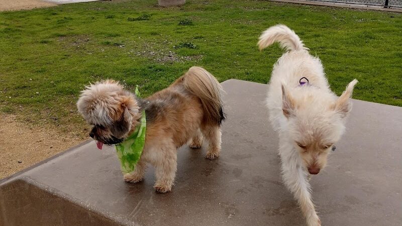 Marina Dog Park - San Leandro, CA
