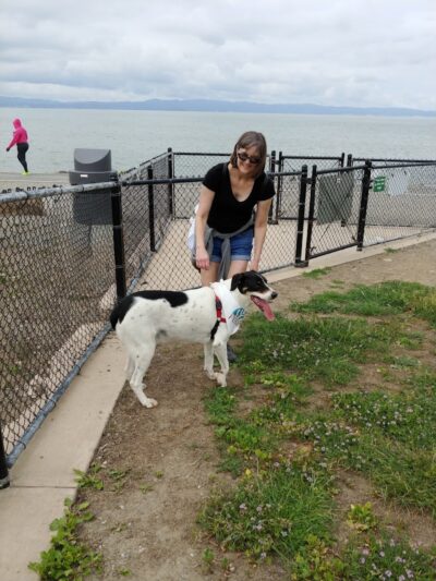 Marina Dog Park - San Leandro, CA
