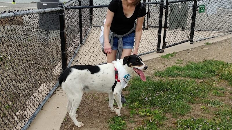 Marina Dog Park - San Leandro, CA