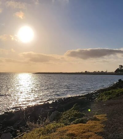 Marina Dog Park - San Leandro, CA