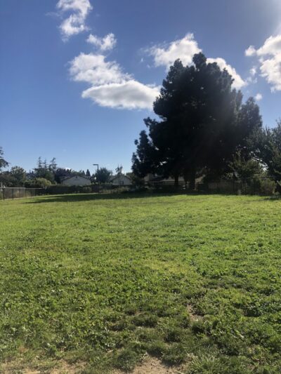 Edendale Dog Park - San Lorenzo, CA