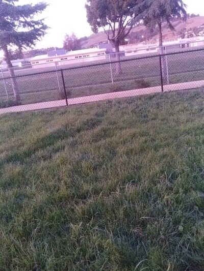 Edendale Dog Park - San Lorenzo, CA