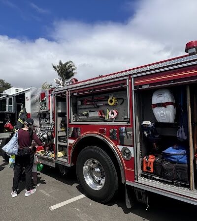 Hayward Area Recreation and Park District Dog Park - San Lorenzo, CA