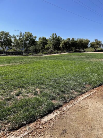 Bark & Ride - San Ramon, CA