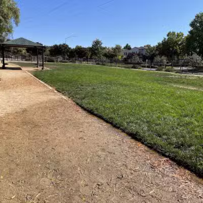 Bark & Ride - San Ramon, CA