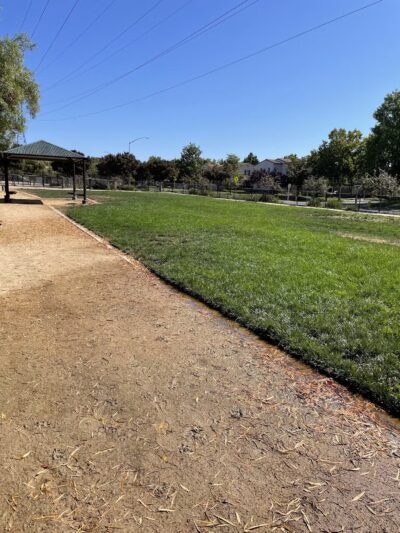 Bark & Ride - San Ramon, CA