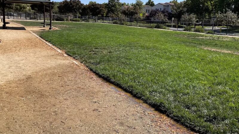 Bark & Ride - San Ramon, CA